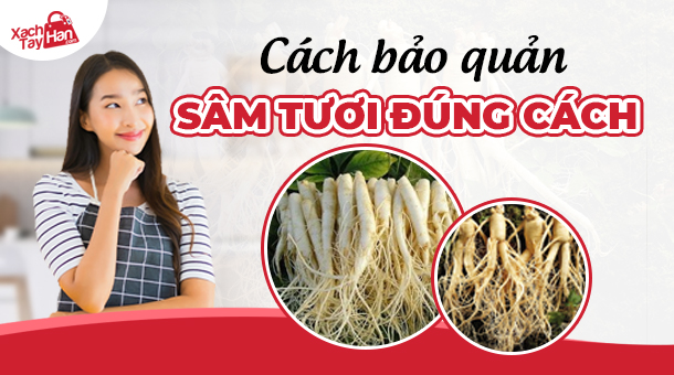 cách bảo quản sâm tươi