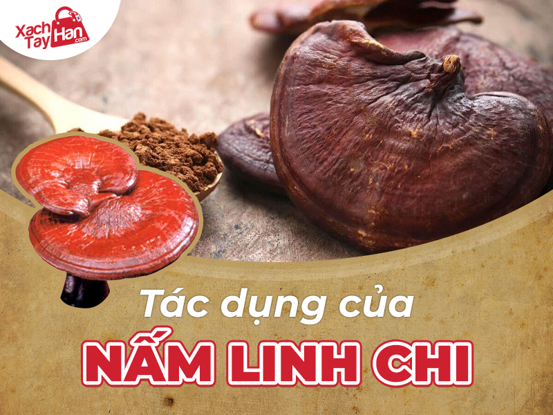 Tác dụng của nấm linh chi